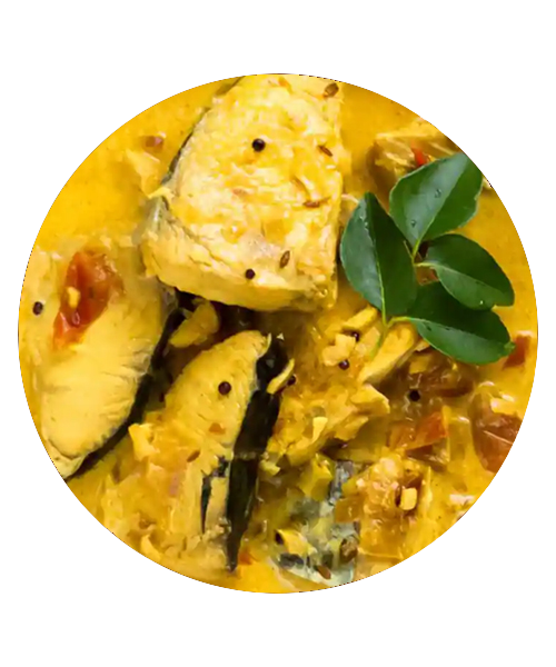 Village Coconut Milk Fish Curry