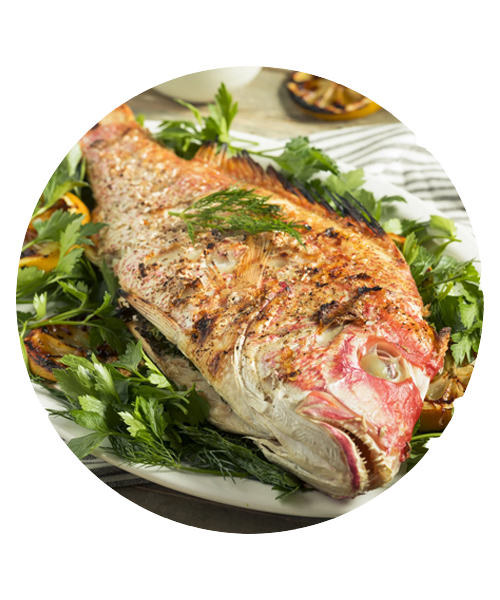 Whole Backed Fish